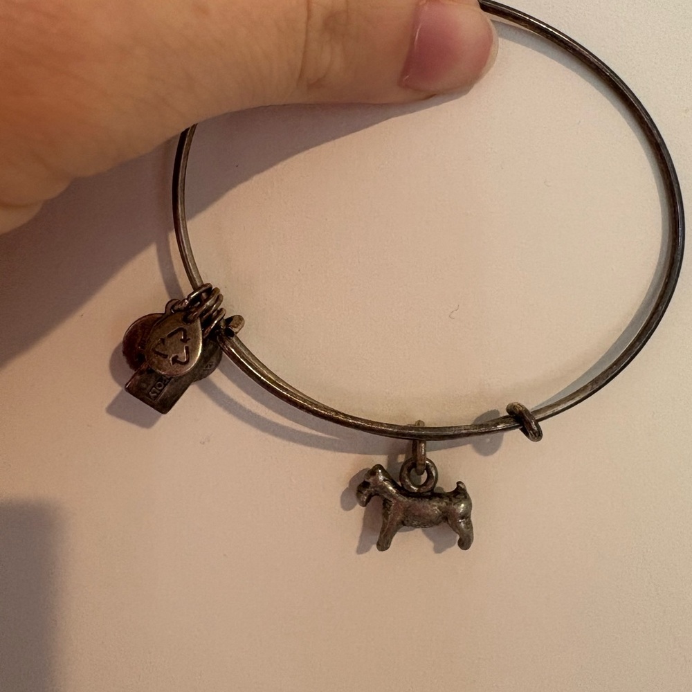 Alex and Ani Monopoly collection Silver Dog Charm Bangle Bracelet